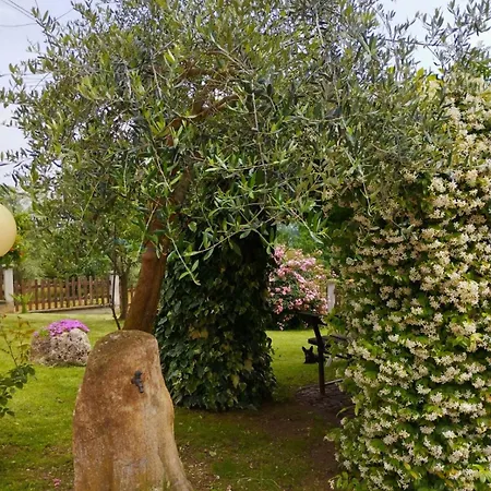 Appartamento La Quiete