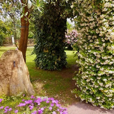 Apartamento La Quiete *